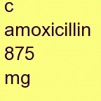 g amoxicillin 875 mg