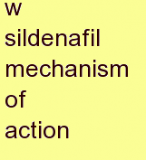 y sildenafil mechanism of action